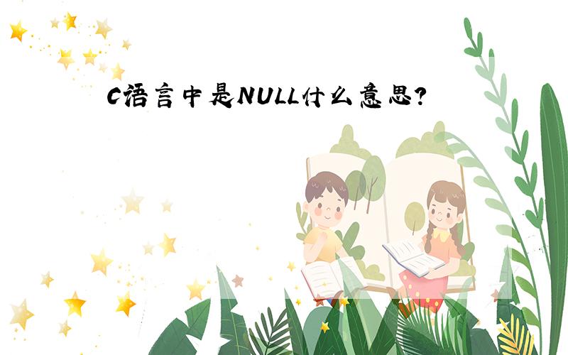 C语言中是NULL什么意思?