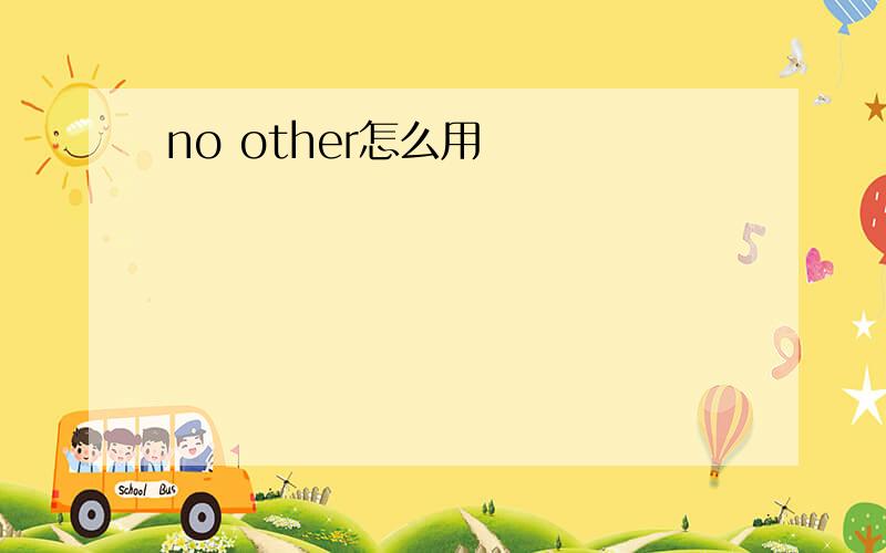 no other怎么用