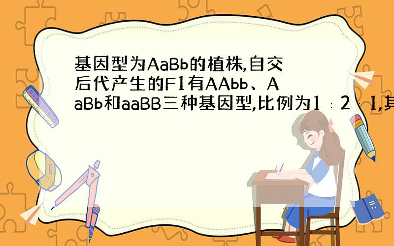 基因型为AaBb的植株,自交后代产生的F1有AAbb、AaBb和aaBB三种基因型,比例为1∶2∶1,其等位基因在染色体