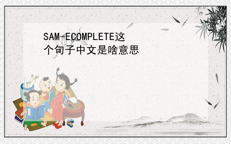 SAM-ECOMPLETE这个句子中文是啥意思
