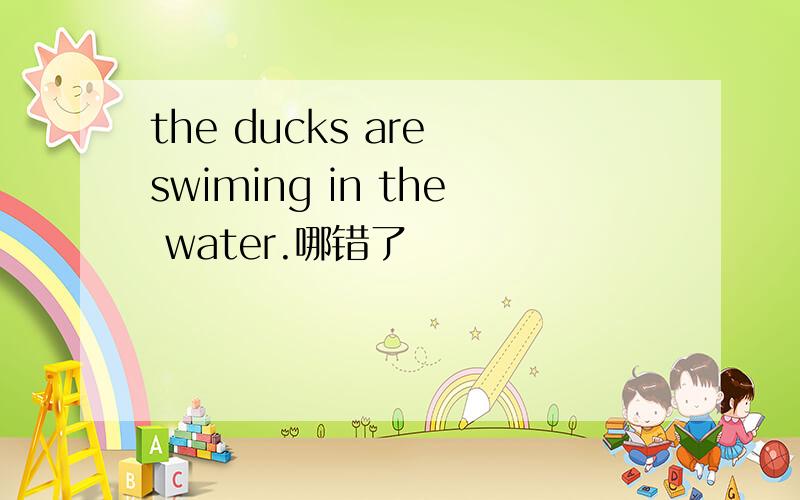 the ducks are swiming in the water.哪错了