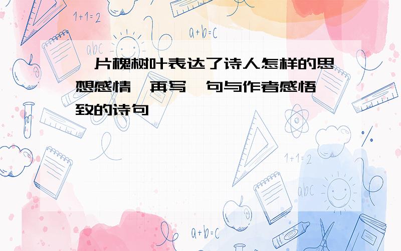 一片槐树叶表达了诗人怎样的思想感情,再写一句与作者感悟一致的诗句