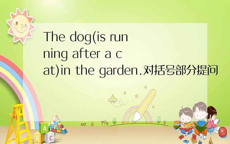 The dog(is running after a cat)in the garden.对括号部分提问