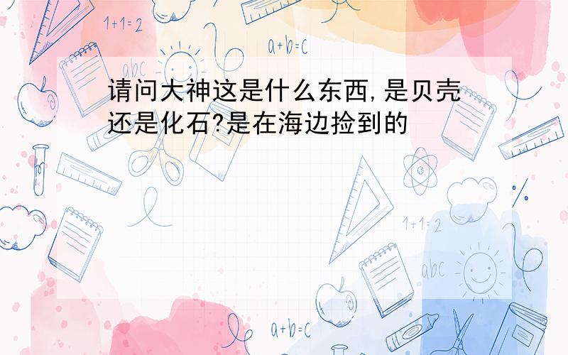 请问大神这是什么东西,是贝壳还是化石?是在海边捡到的