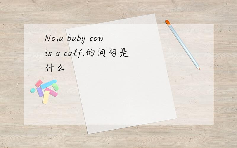 No,a baby cow is a calf.的问句是什么