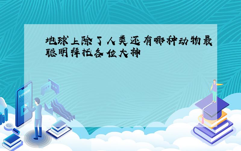 地球上除了人类还有哪种动物最聪明拜托各位大神