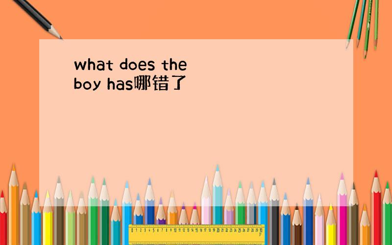 what does the boy has哪错了