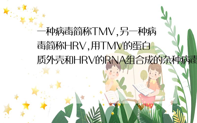 一种病毒简称TMV,另一种病毒简称HRV,用TMV的蛋白质外壳和HRV的RNA组合成的杂种病毒所繁殖的后代为什么是HRV