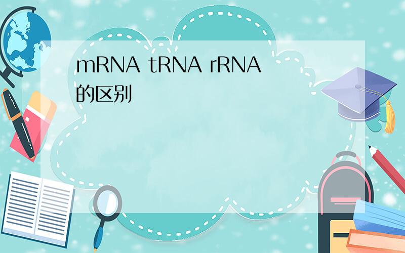 mRNA tRNA rRNA的区别