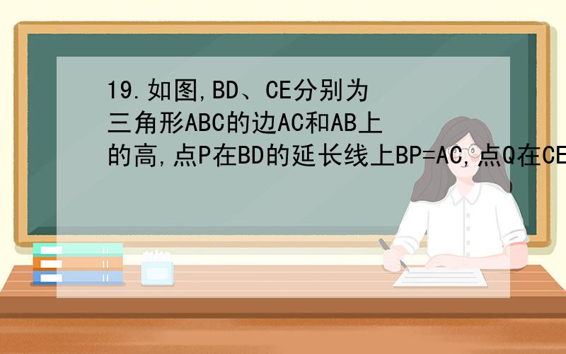 19.如图,BD、CE分别为三角形ABC的边AC和AB上的高,点P在BD的延长线上BP=AC,点Q在CE上CQ=AB