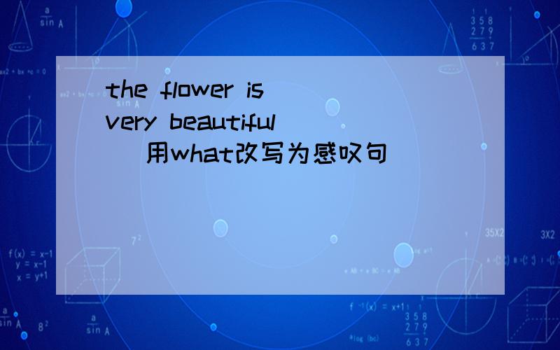 the flower is very beautiful (用what改写为感叹句)