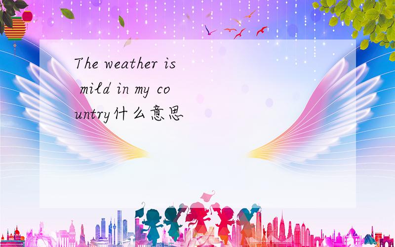 The weather is mild in my country什么意思