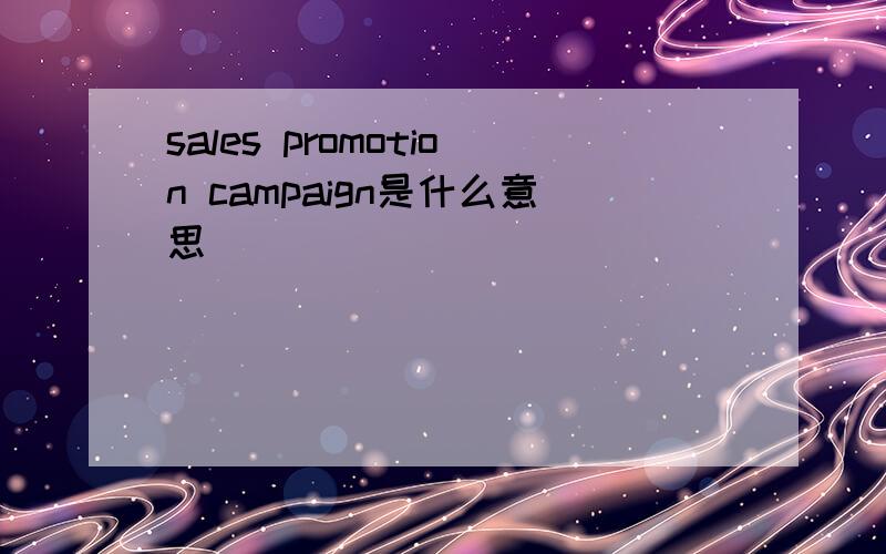 sales promotion campaign是什么意思