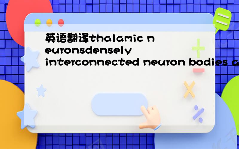 英语翻译thalamic neuronsdensely interconnected neuron bodies and
