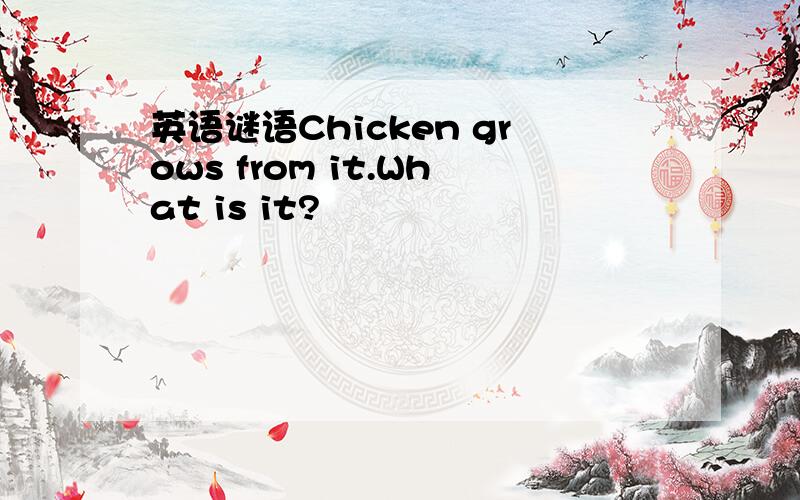 英语谜语Chicken grows from it.What is it?