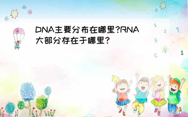 DNA主要分布在哪里?RNA大部分存在于哪里?
