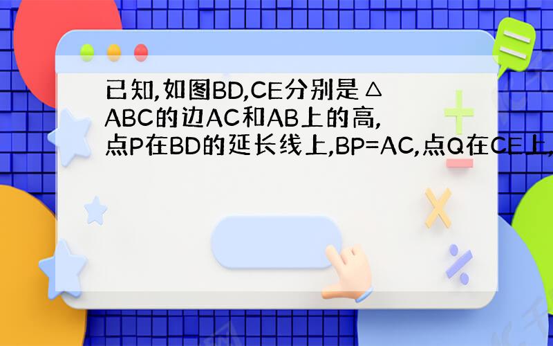 已知,如图BD,CE分别是△ABC的边AC和AB上的高,点P在BD的延长线上,BP=AC,点Q在CE上,CQ=AB