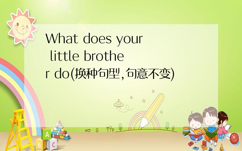 What does your little brother do(换种句型,句意不变)