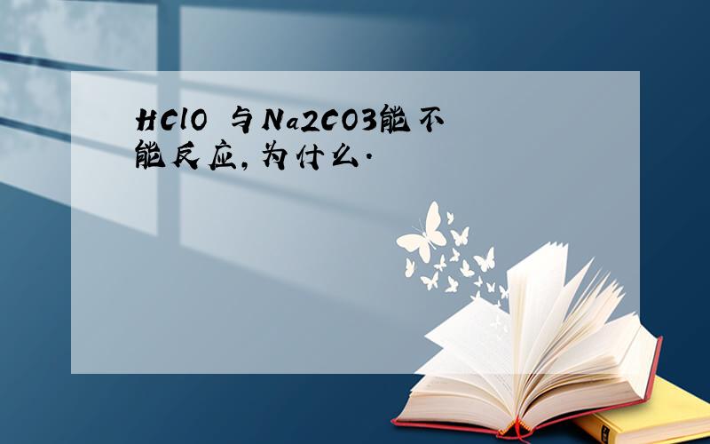 HClO 与Na2CO3能不能反应,为什么.