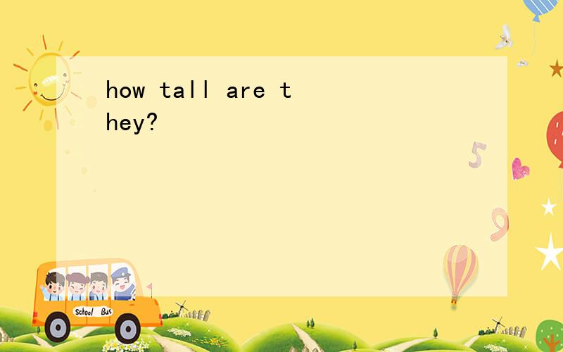 how tall are they?