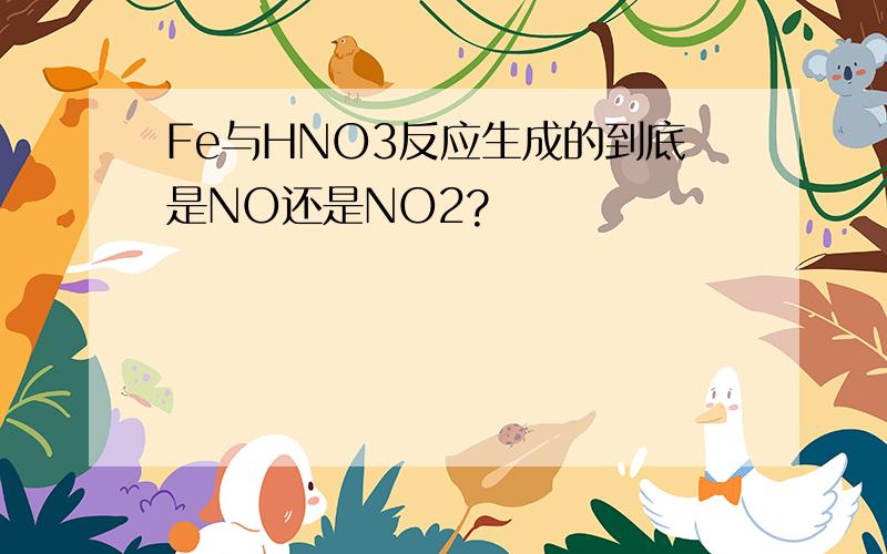 Fe与HNO3反应生成的到底是NO还是NO2?