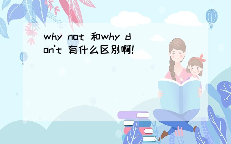 why not 和why don't 有什么区别啊!