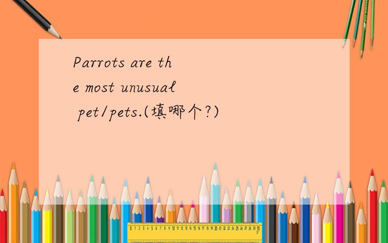 Parrots are the most unusual pet/pets.(填哪个?)