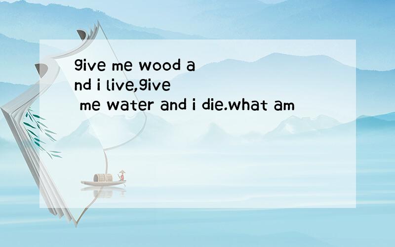 give me wood and i live,give me water and i die.what am