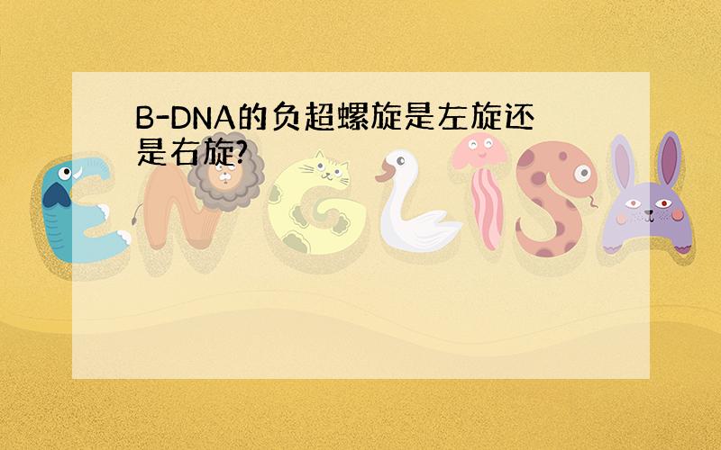 B-DNA的负超螺旋是左旋还是右旋?
