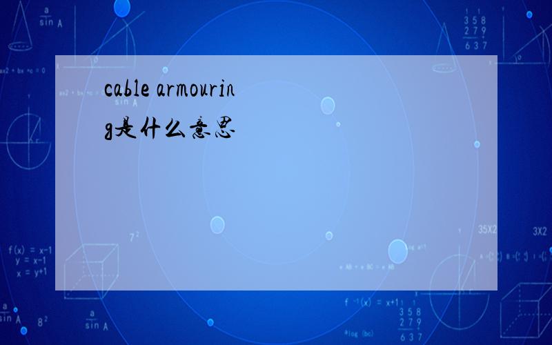 cable armouring是什么意思