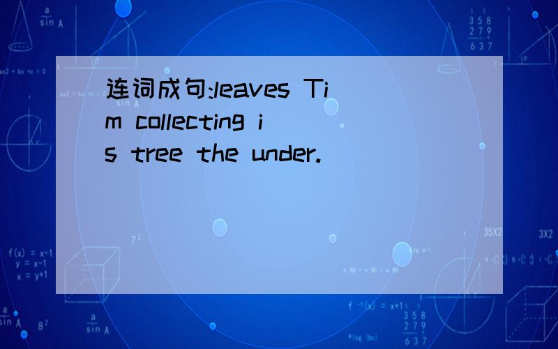 连词成句:leaves Tim collecting is tree the under.