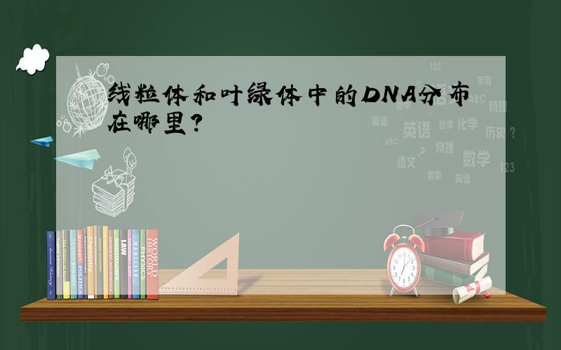 线粒体和叶绿体中的DNA分布在哪里?