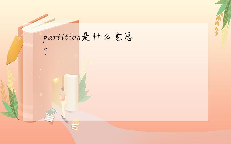 partition是什么意思?