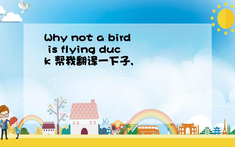 Why not a bird is flying duck 帮我翻译一下子,