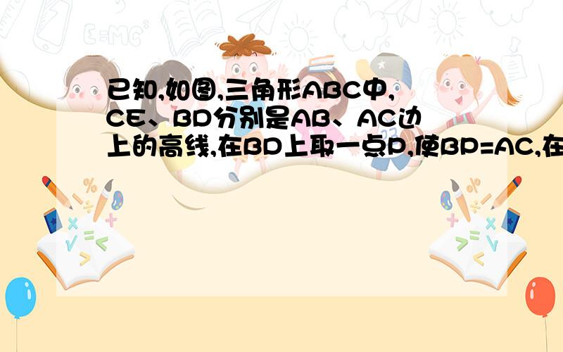 已知,如图,三角形ABC中,CE、BD分别是AB、AC边上的高线,在BD上取一点P,使BP=AC,在CE的延长线上