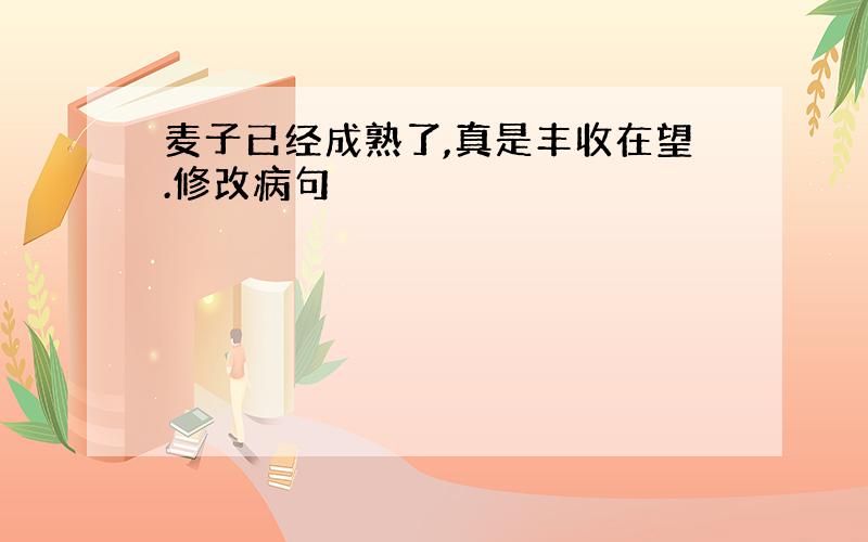 麦子已经成熟了,真是丰收在望.修改病句