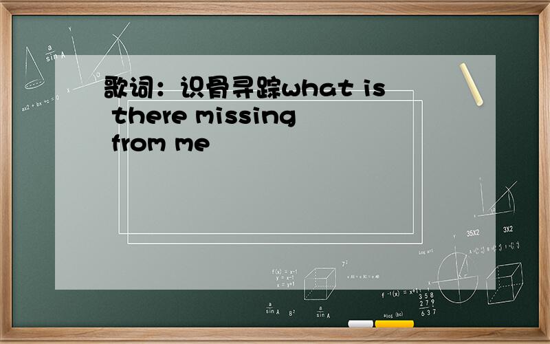歌词：识骨寻踪what is there missing from me