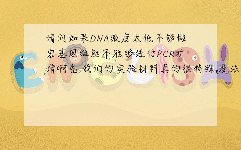 请问如果DNA浓度太低不够做宏基因组能不能够进行PCR扩增啊先,我们的实验材料真的很特殊,没法再多了.