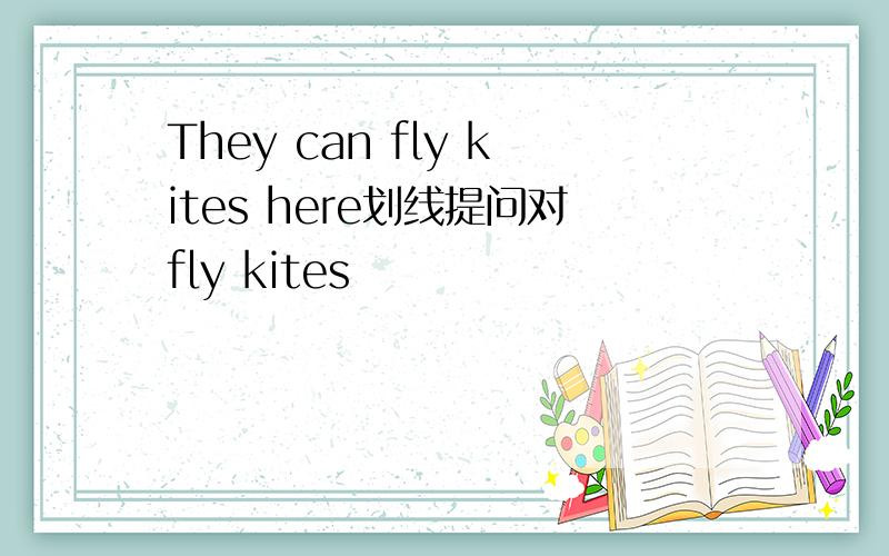 They can fly kites here划线提问对fly kites