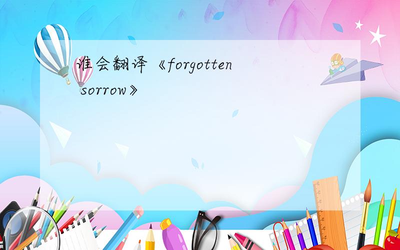 谁会翻译《forgotten sorrow》