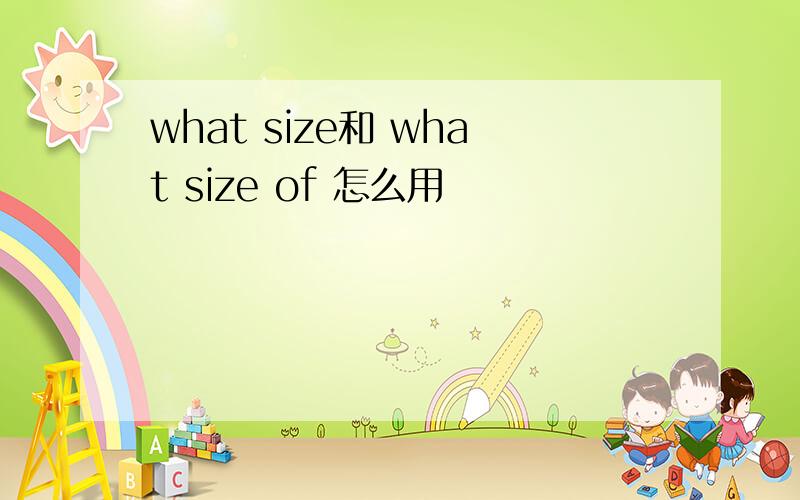 what size和 what size of 怎么用