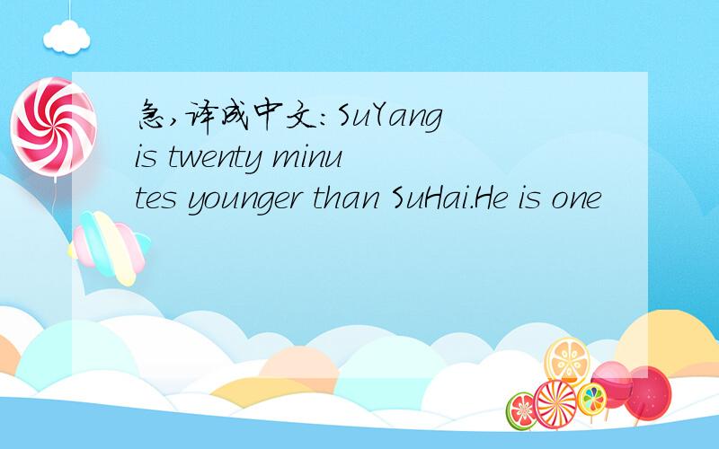 急,译成中文：SuYang is twenty minutes younger than SuHai.He is one