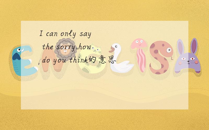 I can only say the sorry,how do you think的意思
