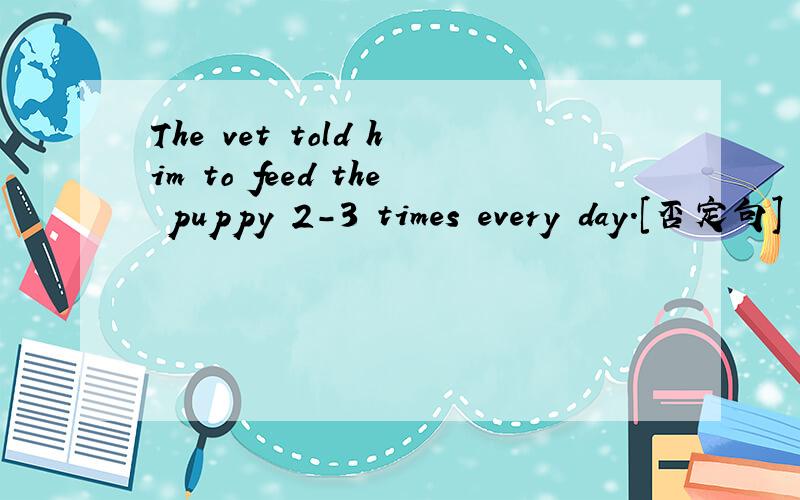 The vet told him to feed the puppy 2-3 times every day.[否定句]