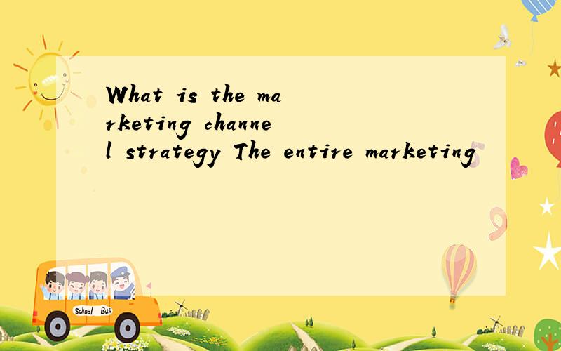 What is the marketing channel strategy The entire marketing