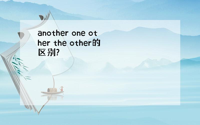 another one other the other的区别?