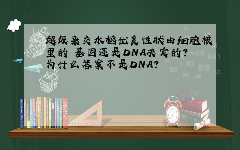 超级杂交水稻优良性状由细胞核里的 基因还是DNA决定的?为什么答案不是DNA?