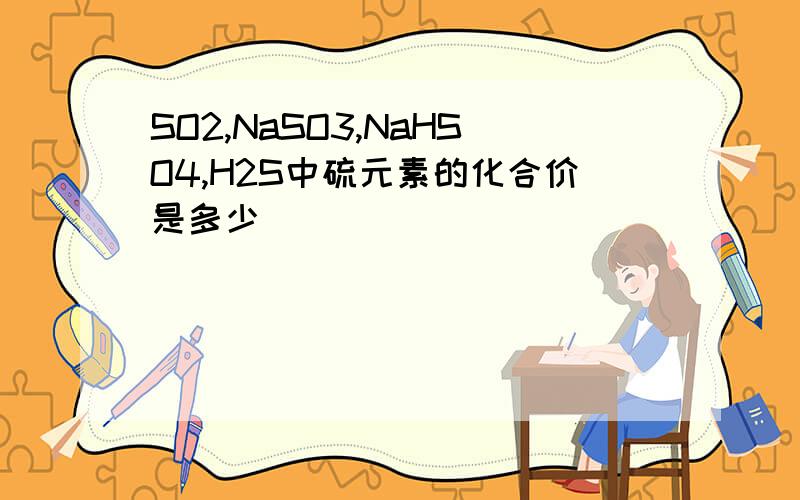 SO2,NaSO3,NaHSO4,H2S中硫元素的化合价是多少