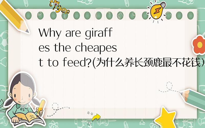 Why are giraffes the cheapest to feed?(为什么养长颈鹿最不花钱）答案用英语来回答