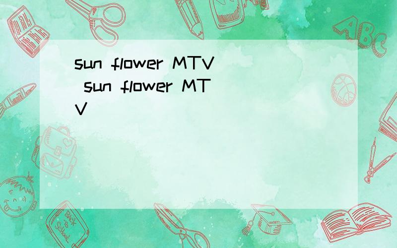 sun flower MTV sun flower MTV